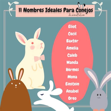 nombres de conejos